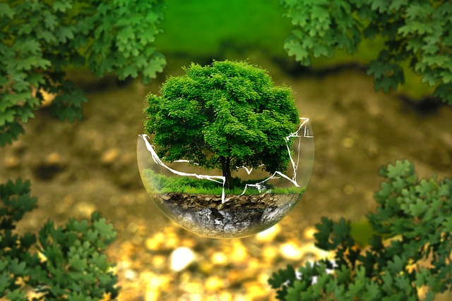 organic-tree-glass-green-lush