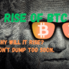 rise-of-bitcoin