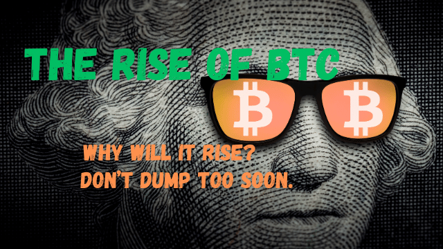 rise-of-bitcoin